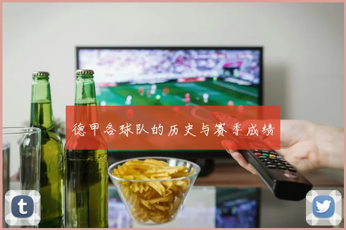 德甲各球队的历史与赛季成绩