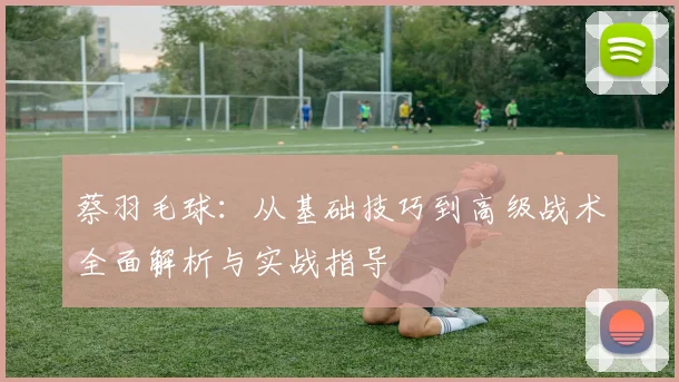 蔡羽毛球：从基础技巧到高级战术全面解析与实战指导